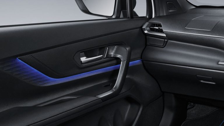 New Bold Leisure Soft Pad Door Armrest with Full Grip