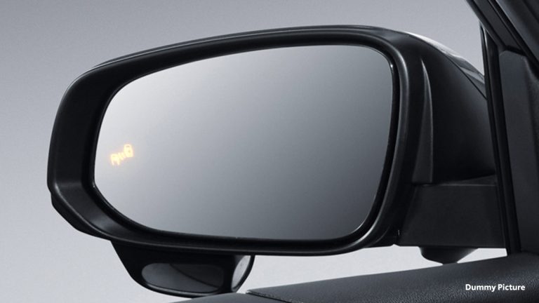 Blind Spot Monitor (BSM)